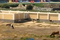 صورة من الفيديو