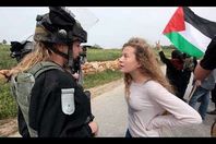 عهد التميمي