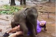 فتاة تلاعب فيل