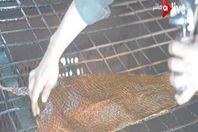 صورة من الفيدييو