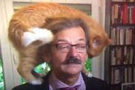 قط يصر علي الظهور في برنامج تليفزيوني ويحرج صاحبه
