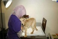 صورة من الفيديو