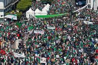 تظاهرات الجزائر