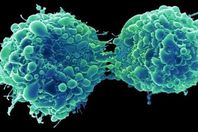 فيروس لعلاج سرطان المثانة