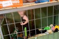 حبس طفل داخل قفص الكلاب بين الثعابين والفئران