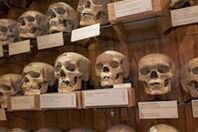 سخرت من "جماجم الشهداء".. هذا ما حدث لفنانة شهيرة