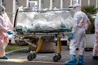 تسجيل 593 إصابة جديدة بكورونا في الجزائر