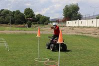 طائرة وبنادق لملاحقة الأضاحي