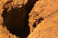 سقط في بئر  ارتفاعه 20 مترا.. نهاية صادمة لطفل سعودي