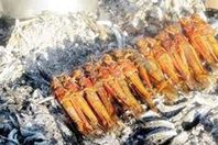 وجبات كباب.. طرق جديدة للتخلص من الجراد في أفريقيا