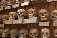 الفتوى بالجزائر تمنع الصلاة على جماجم الشهداء لهذا السبب