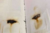 يضع الكتاب في الميكرويف خوفًا من كورونا