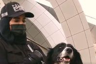 فيديو.. الإمارات تستخدم الكلاب للكشف عن فيروس كورونا 
