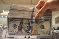 10216295321624084691