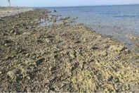 2024_7_23_14_28_39_147