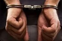 33319aea-686d-4fda-a787-1310d607c741