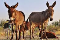 c6936dea-3eea-4e02-a029-55efbfedac7b