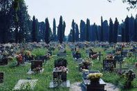 رجل ينبش قبر والده ليتشاجر معه بعد ثلاثين عاما