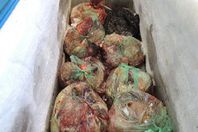 ضبط 7 أطنان لحوم فاسدة بالسيدة زينب