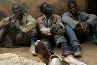 ضبط 5 أفارقة بسيناء قبل دخولهم إسرائيل