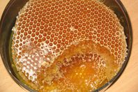 "النحالين العالمي": العسل التركي  أفضل الأنواع