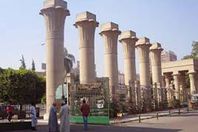 "حياتك أهم" حملة في جامعة عين شمس