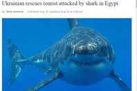 صورة من الخبر الأصلي