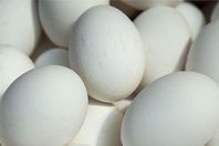 البيض