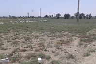 أراضي الفيوم تتحول ألي أشواك