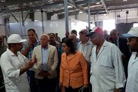 نائب وزير الزراعة