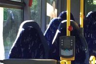 مقاعد فارغة