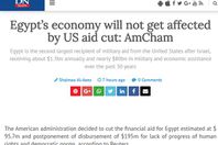 صورة الخبر الأصلي