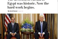 صورة الخبر الأصلي