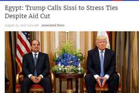 صورة الخبر الأصلي