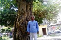 ناصر النوبي مؤسس فرقة جميزة