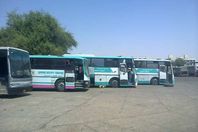 اتوبيسات الوادي الجديد