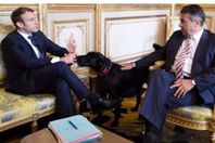 ماكرون والكلب نيمو خلال زيارة الوزير الألمانى