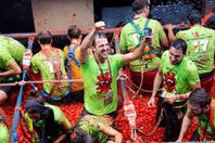 مهرجان الطماطم