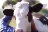 صورة من الفيديو