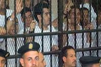 خلية الزيتون