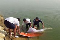 أرشيفية
