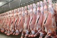 الكنيسة تشارك في صكوك لحوم الاضاحي