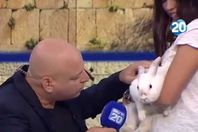 قناة عبرية تجري مقابلة تلفزيونية مع «أرنب»