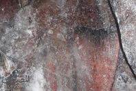 صور اللحوم  والأسماك المعدومة