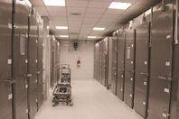 مشارح كفر الشيخ