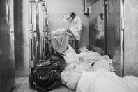 ثلاجات المنوفية