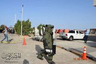 صور النموذج