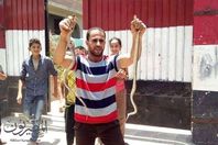 ثعابين البحيرة