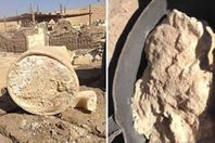 الجبنة المكتشفة