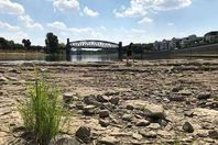 الجفاف بألمانيا